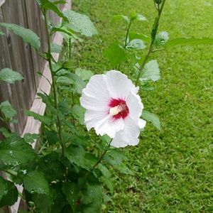 Meet your Posher, Rachael